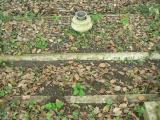 image of grave number 333187